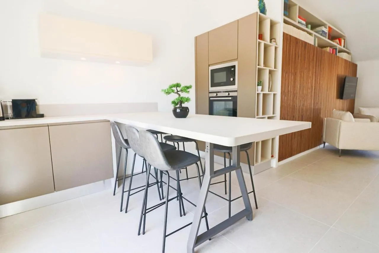 Meynadier Renovated Designer Apartment With Rooftop In Cannes France